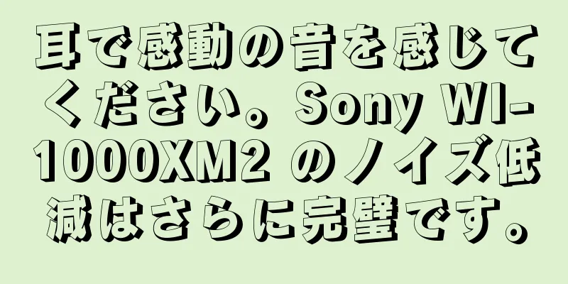 耳で感動の音を感じてください。Sony WI-1000XM2 のノイズ低減はさらに完璧です。