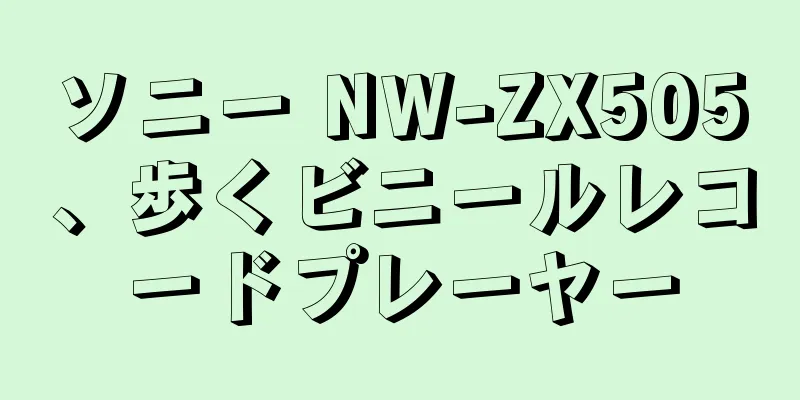 ソニー NW-ZX505、歩くビニールレコードプレーヤー