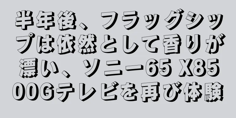 半年後、フラッグシップは依然として香りが漂い、ソニー65 X8500Gテレビを再び体験