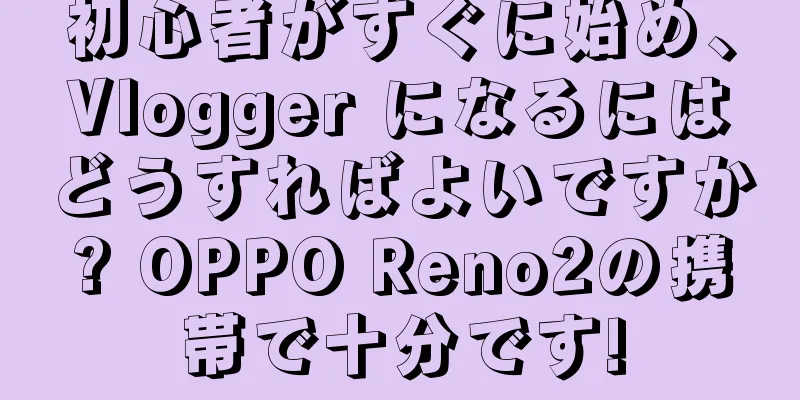 初心者がすぐに始め、Vlogger になるにはどうすればよいですか? OPPO Reno2の携帯で十分です!