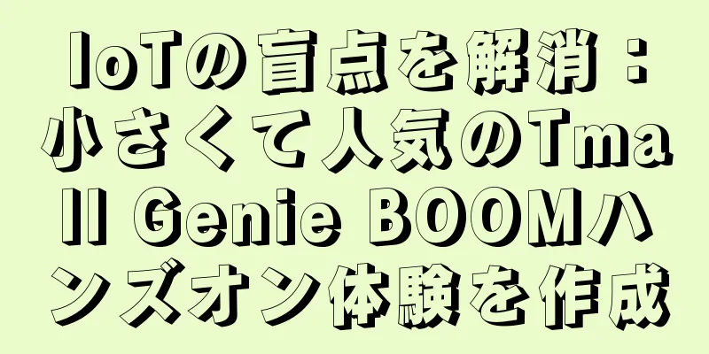 IoTの盲点を解消：小さくて人気のTmall Genie BOOMハンズオン体験を作成