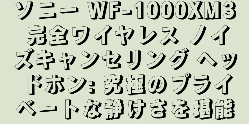ソニー WF-1000XM3 完全ワイヤレス ノイズキャンセリング ヘッドホン: 究極のプライベートな静けさを堪能