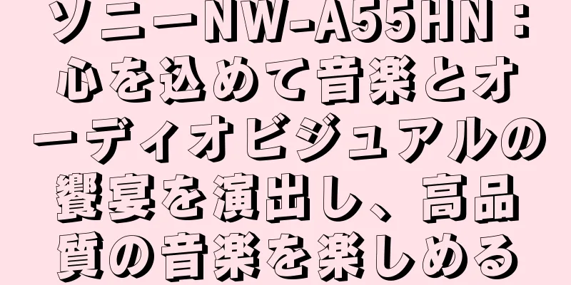 ソニーNW-A55HN：心を込めて音楽とオーディオビジュアルの饗宴を演出し、高品質の音楽を楽しめる