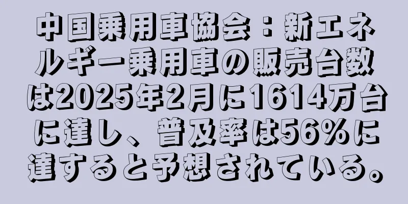 中国乗用車協会：新エネルギー乗用車の販売台数は2025年2月に1614万台に達し、普及率は56％に達すると予想されている。