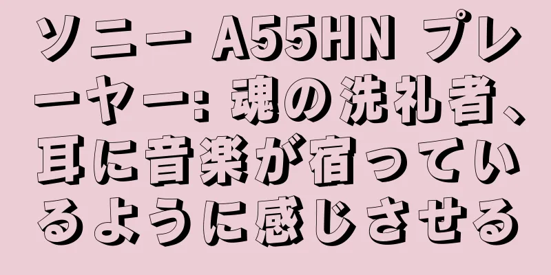 ソニー A55HN プレーヤー: 魂の洗礼者、耳に音楽が宿っているように感じさせる