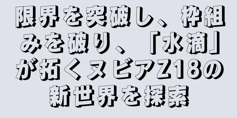 限界を突破し、枠組みを破り、「水滴」が拓くヌビアZ18の新世界を探索