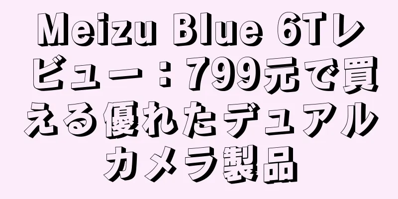 Meizu Blue 6Tレビュー：799元で買える優れたデュアルカメラ製品