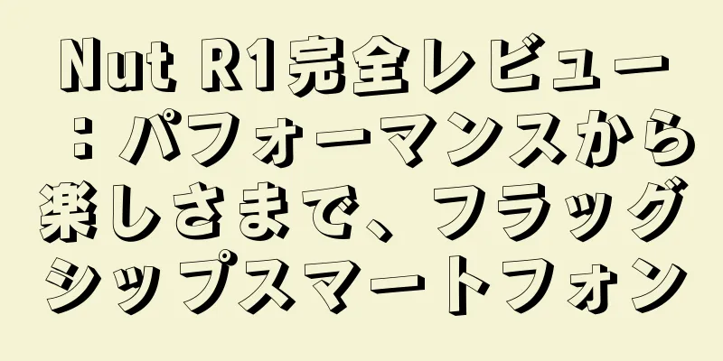 Nut R1完全レビュー：パフォーマンスから楽しさまで、フラッグシップスマートフォン