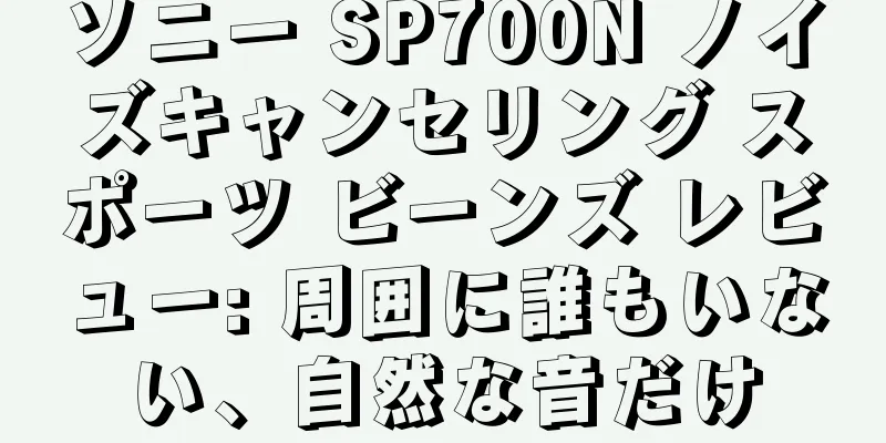 ソニー SP700N ノイズキャンセリング スポーツ ビーンズ レビュー: 周囲に誰もいない、自然な音だけ