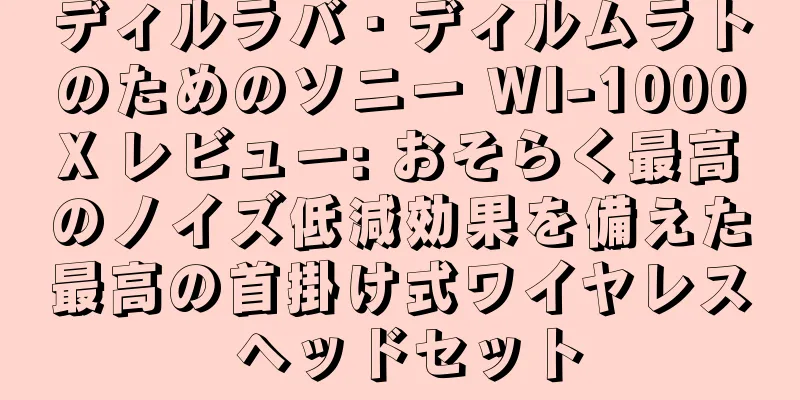 ディルラバ・ディルムラトのためのソニー WI-1000X レビュー: おそらく最高のノイズ低減効果を備えた最高の首掛け式ワイヤレス ヘッドセット