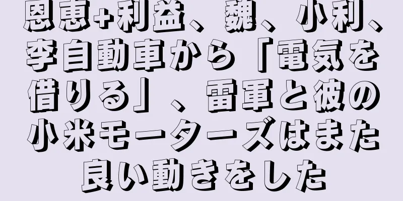 恩恵+利益、魏、小利、李自動車から「電気を借りる」、雷軍と彼の小米モーターズはまた良い動きをした