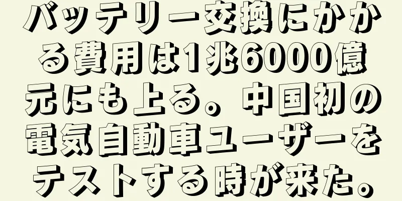 バッテリー交換にかかる費用は1兆6000億元にも上る。中国初の電気自動車ユーザーをテストする時が来た。