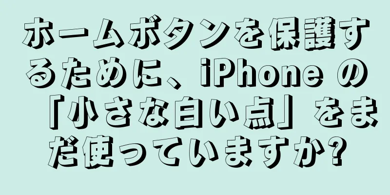 ホームボタンを保護するために、iPhone の「小さな白い点」をまだ使っていますか?