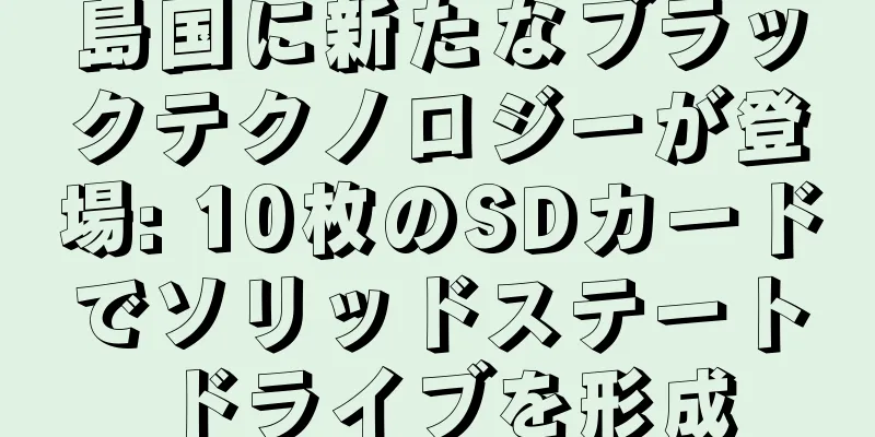 島国に新たなブラックテクノロジーが登場: 10枚のSDカードでソリッドステートドライブを形成