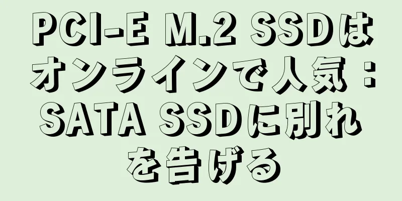 PCI-E M.2 SSDはオンラインで人気：SATA SSDに別れを告げる