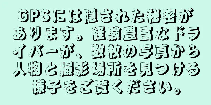GPSには隠された秘密があります。経験豊富なドライバーが、数枚の写真から人物と撮影場所を見つける様子をご覧ください。