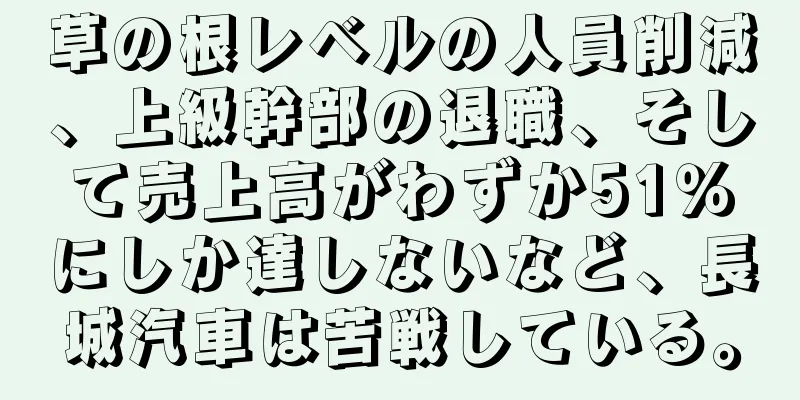 草の根レベルの人員削減、上級幹部の退職、そして売上高がわずか51％にしか達しないなど、長城汽車は苦戦している。