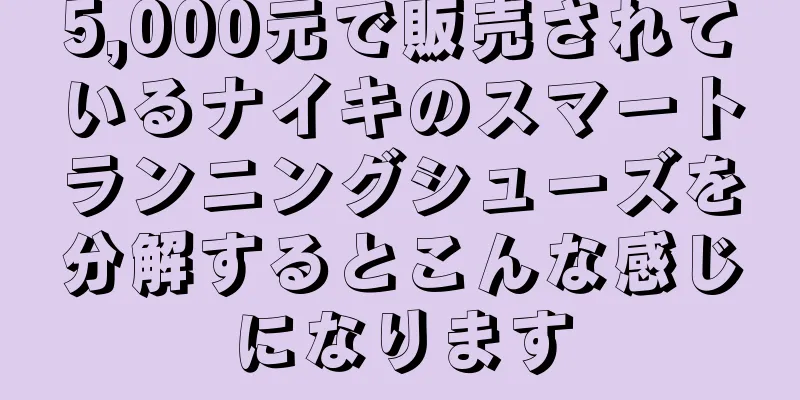 5,000元で販売されているナイキのスマートランニングシューズを分解するとこんな感じになります