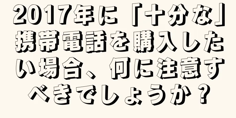 2017年に「十分な」携帯電話を購入したい場合、何に注意すべきでしょうか？