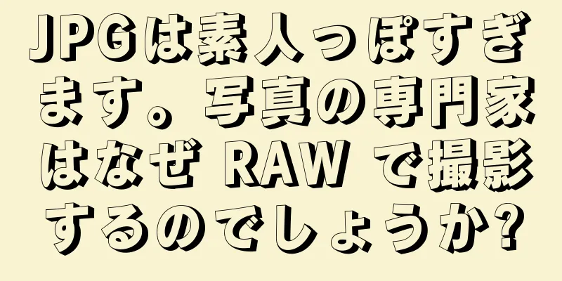 JPGは素人っぽすぎます。写真の専門家はなぜ RAW で撮影するのでしょうか?