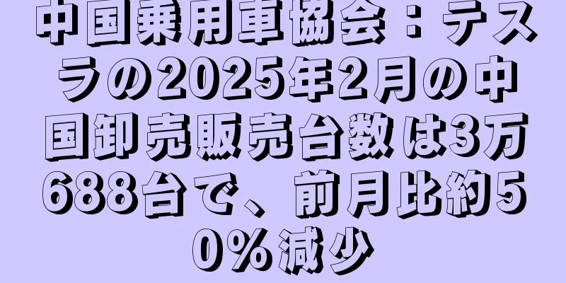 中国乗用車協会：テスラの2025年2月の中国卸売販売台数は3万688台で、前月比約50％減少