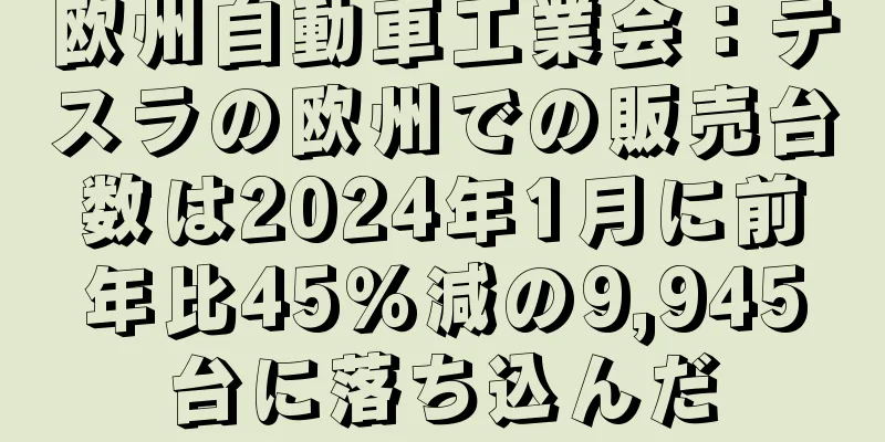 欧州自動車工業会：テスラの欧州での販売台数は2024年1月に前年比45％減の9,945台に落ち込んだ