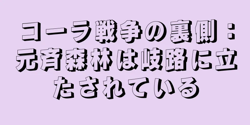 コーラ戦争の裏側：元斉森林は岐路に立たされている