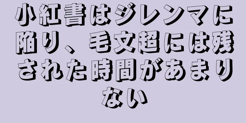 小紅書はジレンマに陥り、毛文超には残された時間があまりない