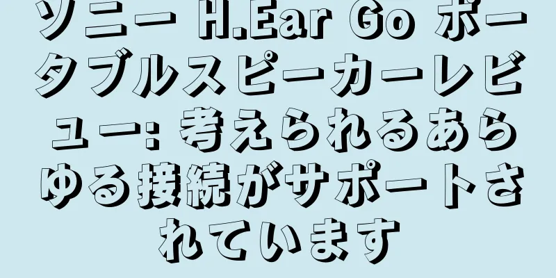ソニー H.Ear Go ポータブルスピーカーレビュー: 考えられるあらゆる接続がサポートされています