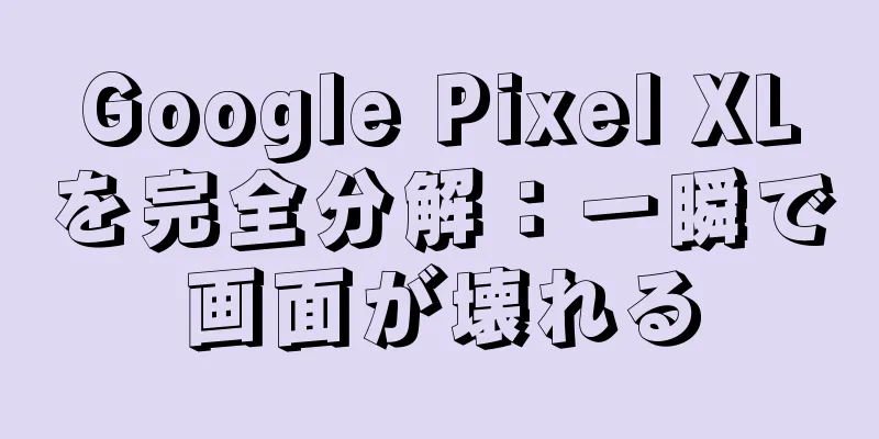Google Pixel XLを完全分解：一瞬で画面が壊れる