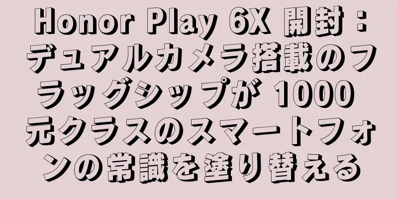 Honor Play 6X 開封：デュアルカメラ搭載のフラッグシップが 1000 元クラスのスマートフォンの常識を塗り替える