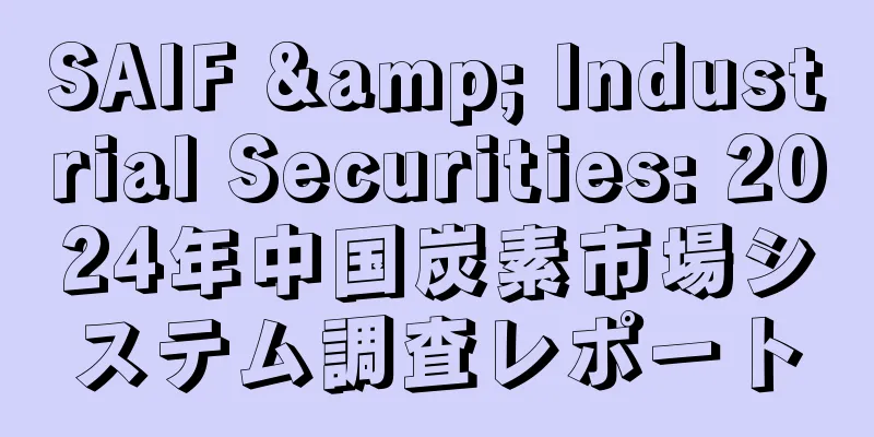 SAIF & Industrial Securities: 2024年中国炭素市場システム調査レポート