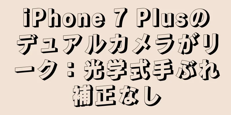 iPhone 7 Plusのデュアルカメラがリーク：光学式手ぶれ補正なし