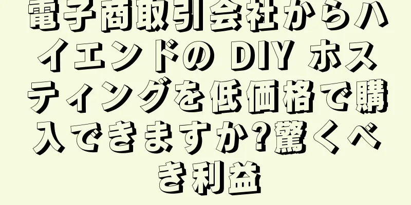 電子商取引会社からハイエンドの DIY ホスティングを低価格で購入できますか?驚くべき利益
