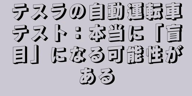 テスラの自動運転車テスト：本当に「盲目」になる可能性がある