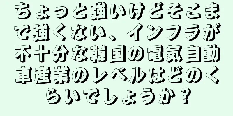 ちょっと強いけどそこまで強くない、インフラが不十分な韓国の電気自動車産業のレベルはどのくらいでしょうか？