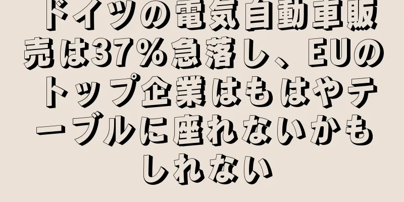 ドイツの電気自動車販売は37％急落し、EUのトップ企業はもはやテーブルに座れないかもしれない