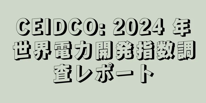 CEIDCO: 2024 年世界電力開発指数調査レポート