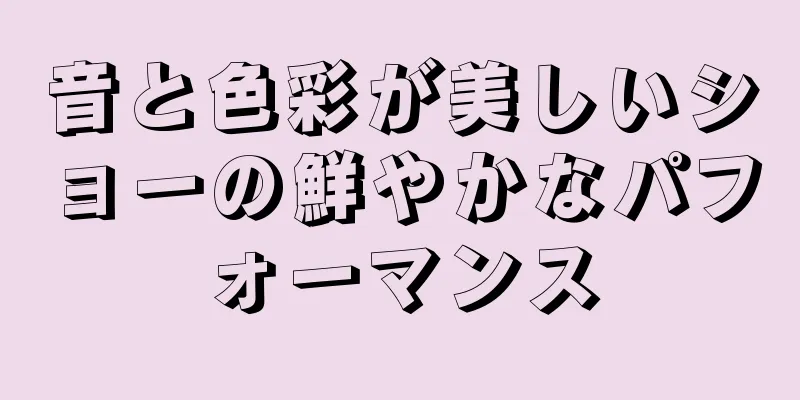 音と色彩が美しいショーの鮮やかなパフォーマンス