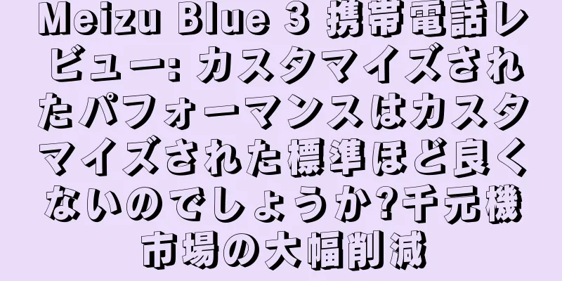 Meizu Blue 3 携帯電話レビュー: カスタマイズされたパフォーマンスはカスタマイズされた標準ほど良くないのでしょうか?千元機市場の大幅削減