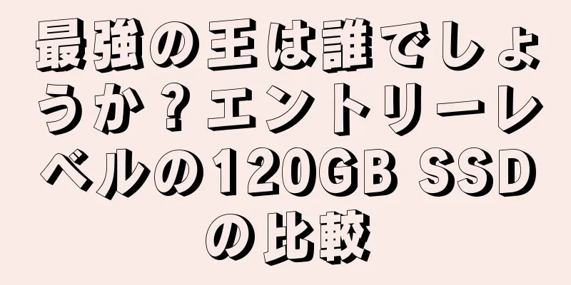 最強の王は誰でしょうか？エントリーレベルの120GB SSDの比較