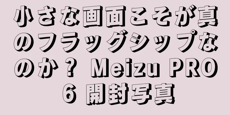小さな画面こそが真のフラッグシップなのか？ Meizu PRO 6 開封写真