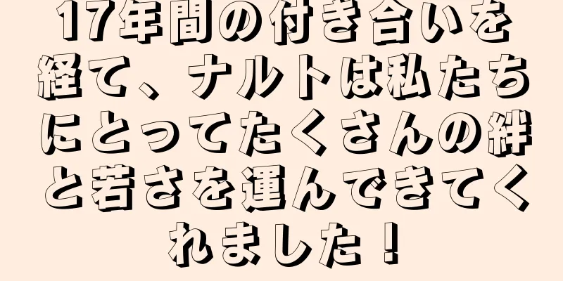 17年間の付き合いを経て、ナルトは私たちにとってたくさんの絆と若さを運んできてくれました！