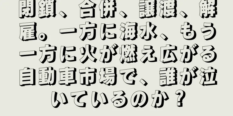 閉鎖、合併、譲渡、解雇。一方に海水、もう一方に火が燃え広がる自動車市場で、誰が泣いているのか？