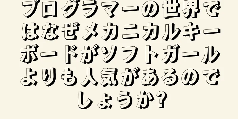 プログラマーの世界ではなぜメカニカルキーボードがソフトガールよりも人気があるのでしょうか?