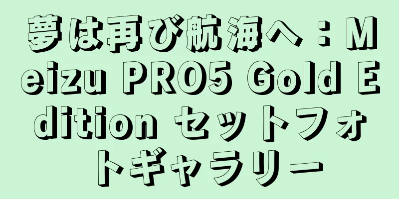 夢は再び航海へ：Meizu PRO5 Gold Edition セットフォトギャラリー