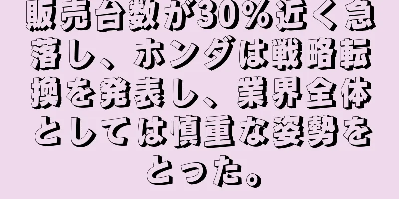 販売台数が30％近く急落し、ホンダは戦略転換を発表し、業界全体としては慎重な姿勢をとった。