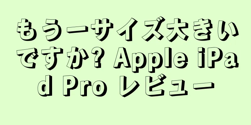 もう一サイズ大きいですか? Apple iPad Pro レビュー