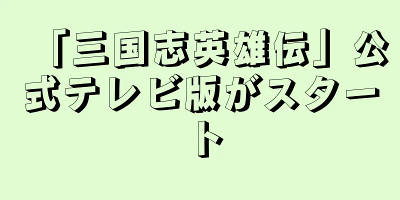 「三国志英雄伝」公式テレビ版がスタート