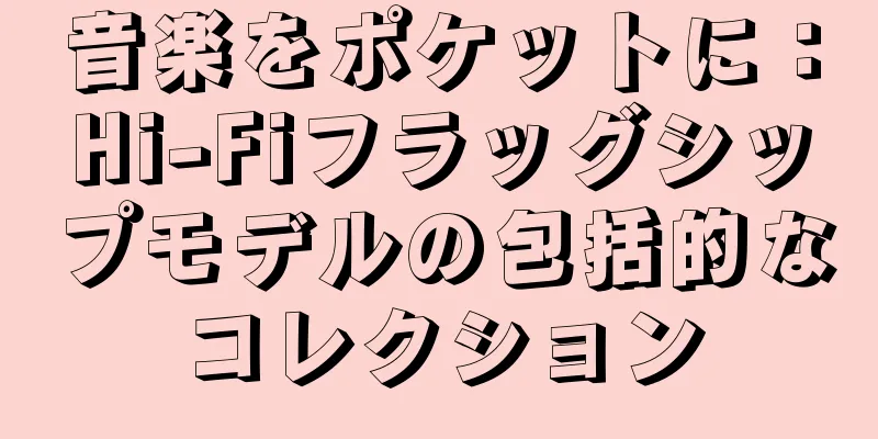 音楽をポケットに：Hi-Fiフラッグシップモデルの包括的なコレクション